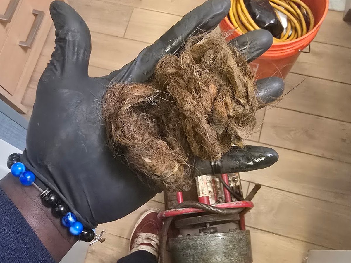 Clog pulled out of a household drain line and held up by a Drain Polishers technician